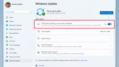 Windows 11 KB5037008 beta mejora el Explorador de archivos y el Administrador de tareas 12 Windows 11 KB5037008 beta