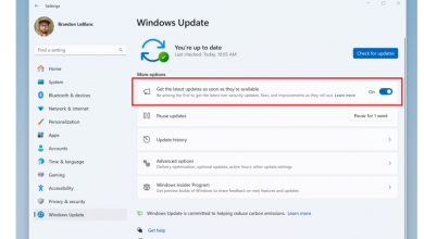 Actualización KB5037864 para Windows 11 24H2 lista para descargar 21 Windows 11 KB5037864