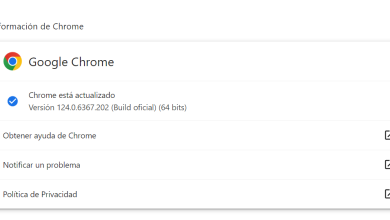 Google Chrome afectado por una vulnerabilidad Zero Day 13 Google Chrome afectado por una vulnerabilidad Zero Day 12