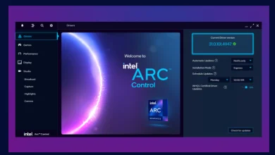 Intel ARC 31.0.101.5534