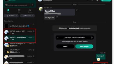 bug skype