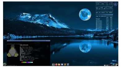 Bodhi linux