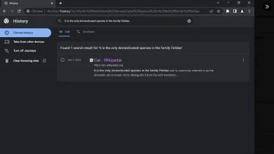Búsqueda por historial: la nueva función impulsada por IA 5 busqueda historial chrome