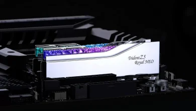 G.Skill Trident Z5 Royal Neo Series con AMD Expo 3 G.Skill Trident Z5 Royal Neo