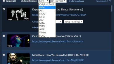 ¿Cómo descargar listas de reproducción de Youtube? 18 ¿Cómo descargar listas de reproducción de Youtube? 17