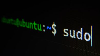 Ubuntu 24.10