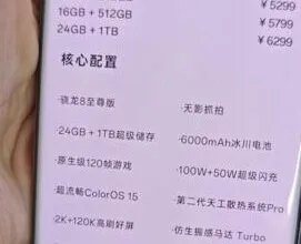 OnePlus 13
