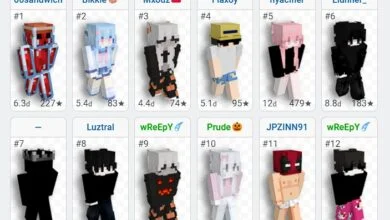 SKlauncher: Un lanzador alternativo para Minecraft 12 SKlauncher manual