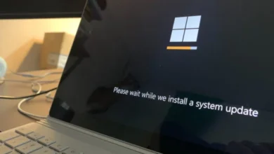 Windows 10 KB5049981: links descarga directa 19 Windows 10 KB5049981