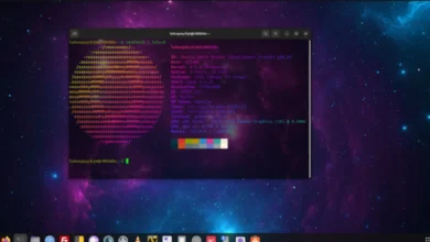 Ubuntu 25.04 Beta"Plucky Puffin": Kernel 6.14 y GNOME 48 al descubierto 8 ubuntu 25.04