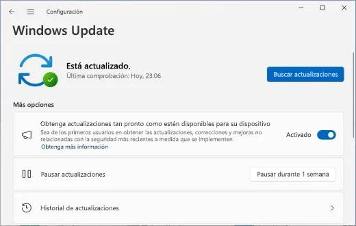 Driver Booster 12 : Guía práctica para Actualizar tus controladores 1 Windows Update