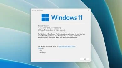 Windows 11 25H2