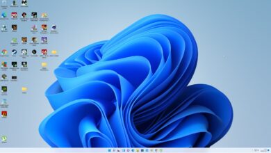 Windows 11 KB5060829