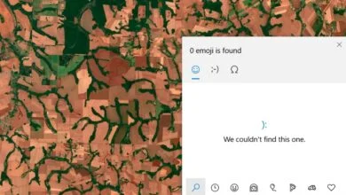 KB5062554: La última actualización de Windows 10 "rompe" la búsqueda de emojis 13 KB5062554