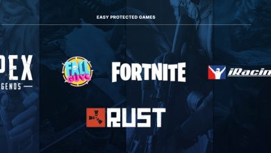 Windows 11 24H2: ¡Por fin se resuelven los problemas con Fortnite y Easy Anti-Cheat! 10 Easy Anti cheat