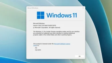 windows 11 25h2