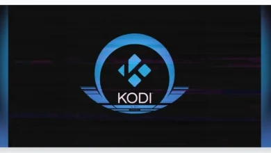 Kodi 22 Alpha1 llega con soporte Blu-ray, mejor rendimiento y nuevas funciones para PVR y juegos 3 kodi 22 alpha 1