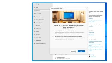 Windows 10: ¿Qué hacer tras el fin de soporte en 2025? Guía completa para no quedarse sin protección 12 Windows 10 ESU
