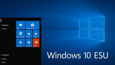 Adiós Windows 10: esta es la última actualización oficial sin pagar (descárgala ahora) 15 Windows 10 esu