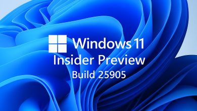 Windows 11 permitirá actualizar apps sin pasar por la Microsoft Store 4 Windows 11 Insider Preview Build 25905