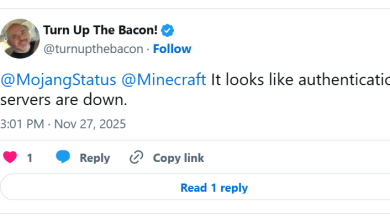 Los servidores de Minecraft sufren una caída global y los jugadores buscan soluciones rápidas. 4 Caida servidores Minecraft
