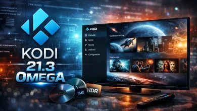 He probado Kodi 21.3 Omega y no todo son buenas noticias 6 Kodi 21.3 Omega