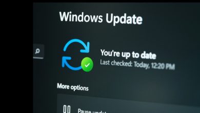 Microsoft confirma fallos en la actualización de Windows 11 de enero de 2026 y publica parches urgentes 7 Windows 11 errores