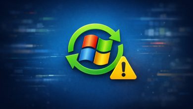impedir que windows 11 actualice drivers