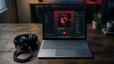 YTubic, cliente de YouTube Music para Windows 2 YTubic