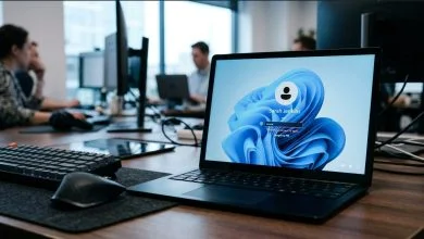 pin no disponible windows 11